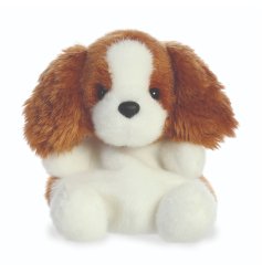 A soft and cuddly palm pal soft toy, Lady, the spaniel dog.