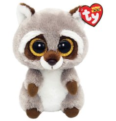 With wide sparkly eyes is this adorable fluffy racoon. 