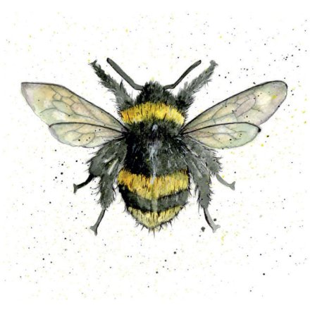 Bumble Bee Greetings Card, 15cm