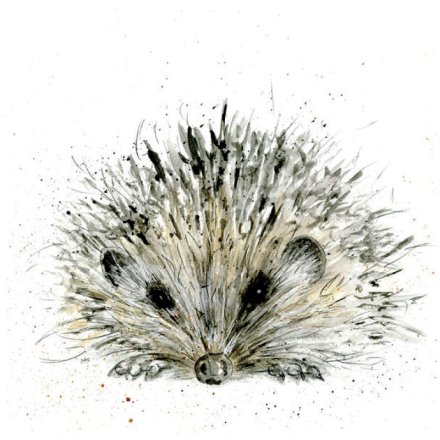 Hedgehog Greetings Card, 15cm