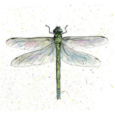 Dragonfly Greetings Card, 15cm 