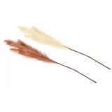 These 2 assorted artificial pampas grass stems