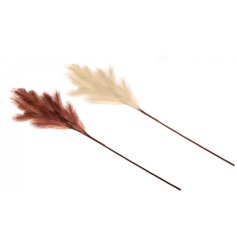 On trend and totally fabulous, these large artificial pampas stems are perfect for displaying in the home.