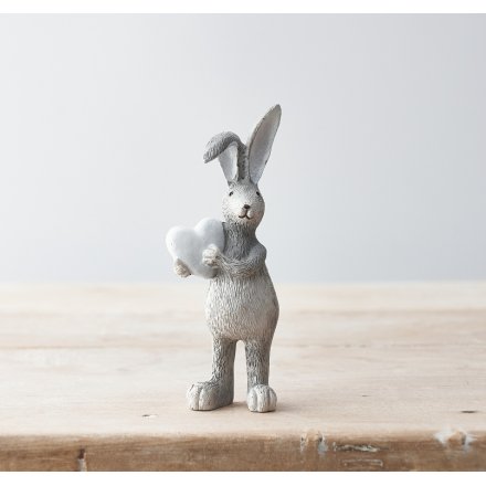 Grey Rabbit With White Heart