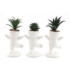 A simplistic assortment of 2 succulent pots