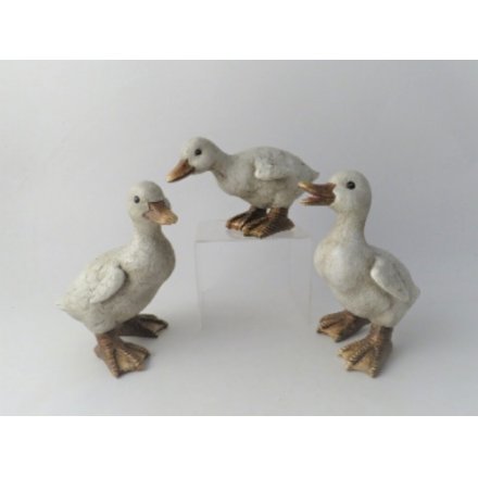 3 Assorted Ducks Figures
