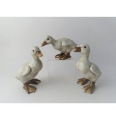 A charming assortment of 3 duck figures