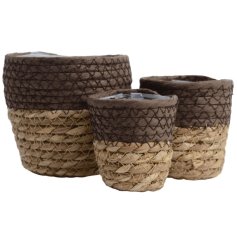 A charming set of 3 woven baskets