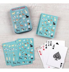 A fun way to play traditional cards! 