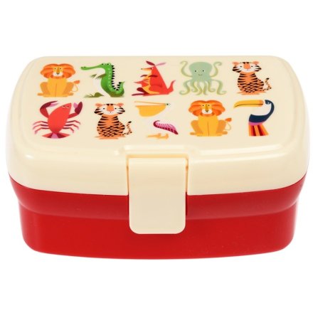 A fun and colourful plastic lunch box