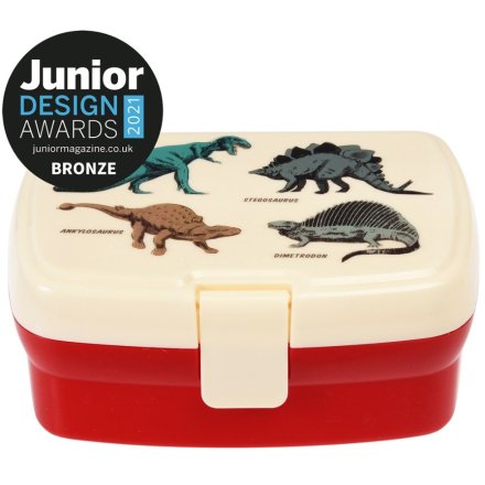 Perfect for a child who loves dinosaurs!