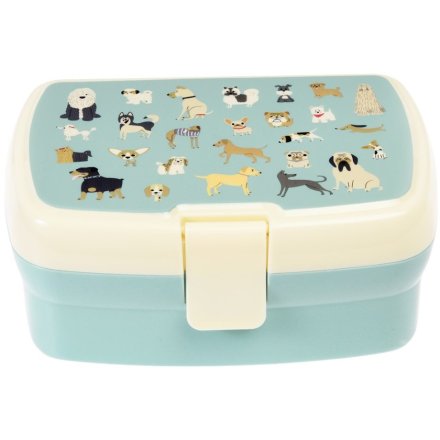A charming plastic lunch box