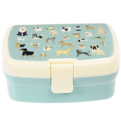 A charming plastic lunch box