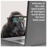 A humorous photographic greetings card with witty message. Guaranteed to make you smile. 
