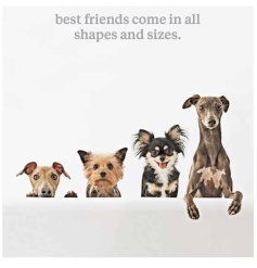 A charming photographic card with a lovely best friends sentiment.