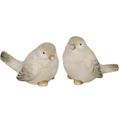 An assortment of 2 beautiful bird decorations. A chic accessory for display in the home or garden