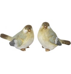 An  assortment of 2 beautifully detailed, colourful bird ornaments. Suitable for indoor and outdoor display.