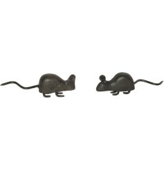 A mix of 2 cute cast iron mice decorations with long tails.