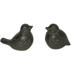 A mix of 2 decorative iron birds. A lovely accessory for displaying in the home or garden.