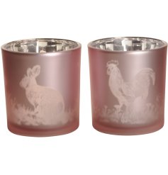 An assortment of 2 glass candle holders with a frosted finish and rabbit and chicken engraving. 