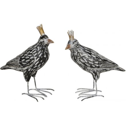 Crown Birds, 11.5cm