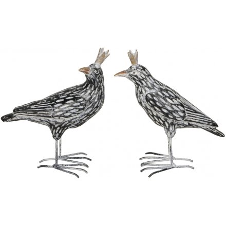 Crown Birds, 14cm