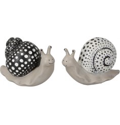 An assortment of 2 black and white polka dot snail ornaments. A cute and unique garden accessory.