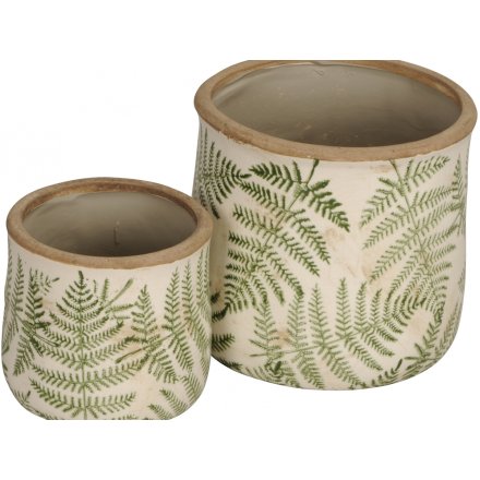 Fern Planter, Set of 2