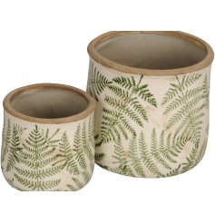 A set of 2 rustic stoneware planters, each with a beautiful green fern print.