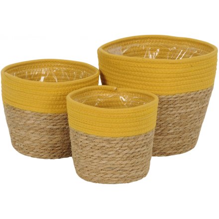 Yellow Meadow Planter, Set of 3