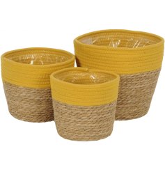 A set of 3 beautiful woven baskets in a rich natural honey colour with a vibrant yellow band.