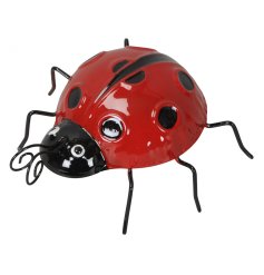A glossy metal ladybird decoration, perfect for displaying on pots, planters and in the garden. 