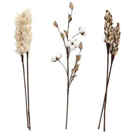 Natural Dried Flowers, 3a