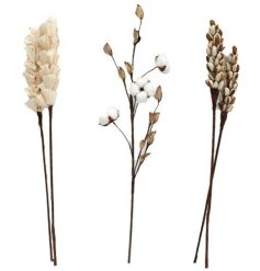 An assortment of 3 natural dried flowers in neutral colours. A stylish addition to the home.