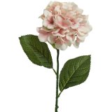 A fine quality artificial hydrangea stem with pink and white mix petals.