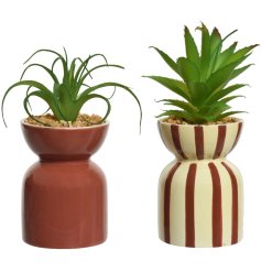 An assortment of 2 super stylish ceramic pots in stripe and plain brick colours. Complete with artificial plants.
