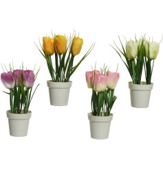 An assortment of 4 colourful artificial tulips set within classic pots. 