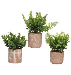 An assortment of 3 terracotta pots each with a unique engraved pattern. Complete with fine quality artificial plant.
