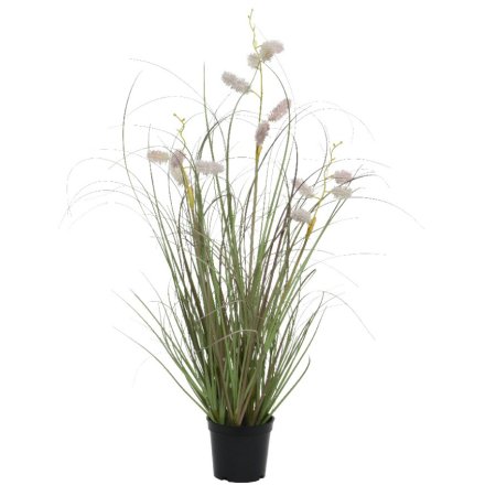 Grasses in Pot, 60cm