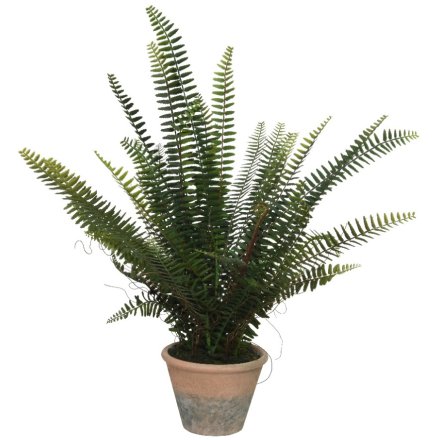 A large, fine quality artificial fern plant set within a rustic terracotta plant pot. 