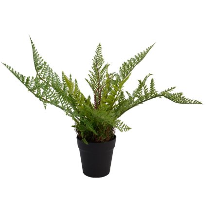A fine quality artificial fern plant set within a classic black pot. 