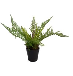 A fine quality artificial fern plant set within a classic black pot. 