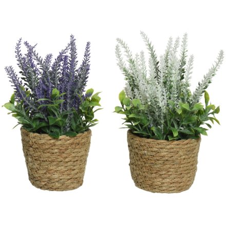 Artificial Lavender Plants, 2a