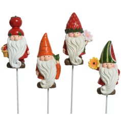 An assortment of 4 cute and quirky fruit dressed gnomes set upon picks for the garden. 