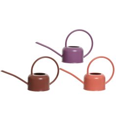 An assortment of 3 zinc watering cans with stylish long spouts. The purple, brick and orange red hues introduce colour 