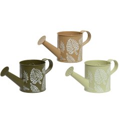 An assortment of 3 green and camel coloured zinc watering cans each with a palm leaf printed design. 