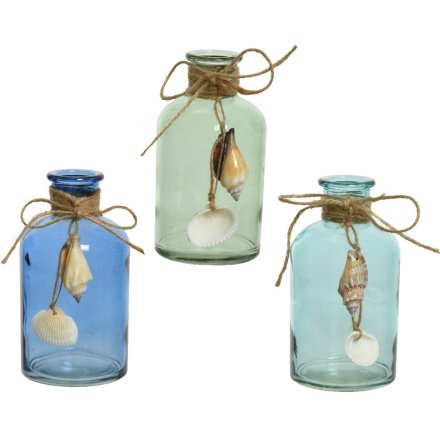 Glass Bottles With Shells, 3a
