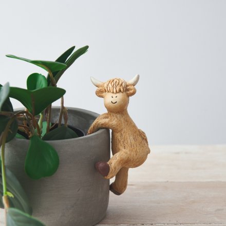 A charming and unique highland cow plant pot hanger. A unique gift item with a rustic finish.