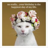 A humorous photographic greetings card with animal portrait. From Icon's popular Curious World range.