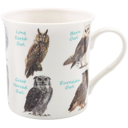 Owl Variety Mug
